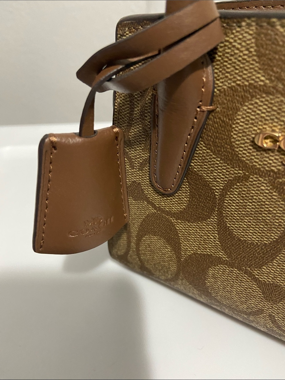 COACH Mini Andrea Carryall - Picture 8 of 11